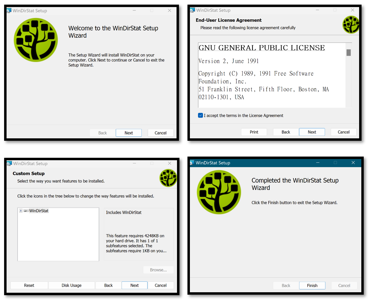 WinDirStat Setup Screens