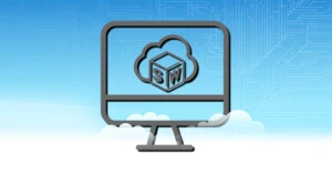 SW-Desktop-Cloud-GreyIcon-BG-min - LF4